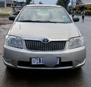 Toyota Corolla 2005 Purple