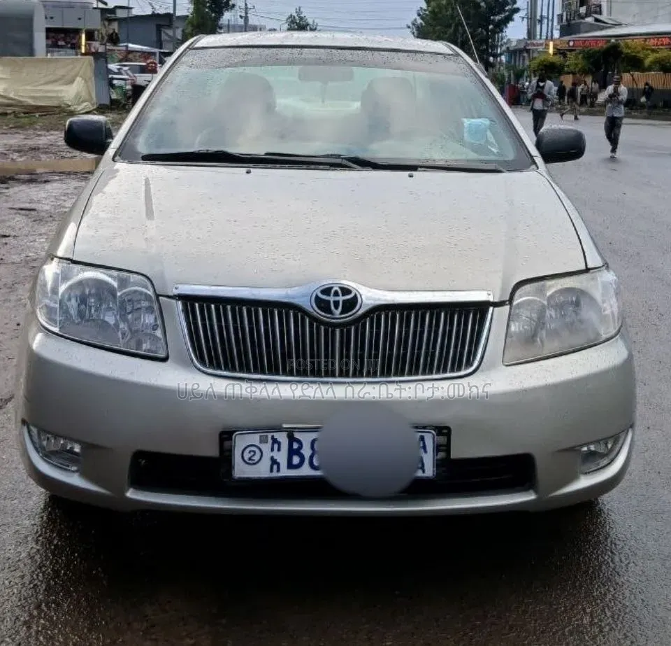 Toyota Corolla 2005 Purple