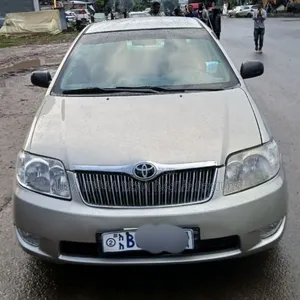 Toyota Corolla 2005 Purple