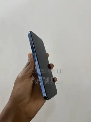 Apple iPhone 13 Pro Max 256 GB Blue