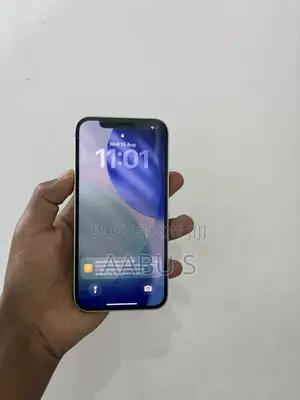 Apple iPhone 13 Pro Max 256 GB Blue