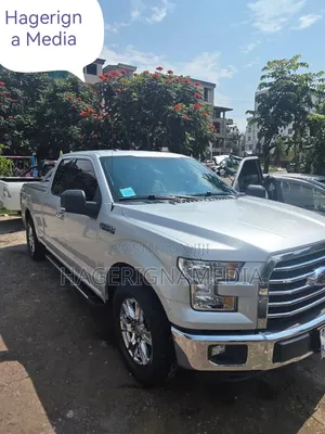 Ford F-150 2016 Silver
