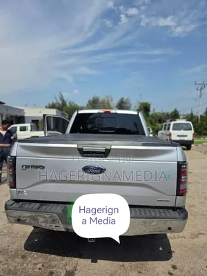 Ford F-150 2016 Silver