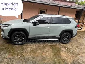 Toyota RAV4 2022 Gray