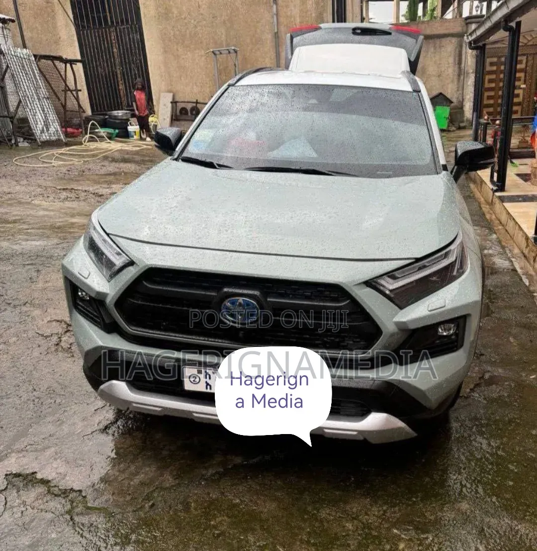 Toyota RAV4 2022 Gray