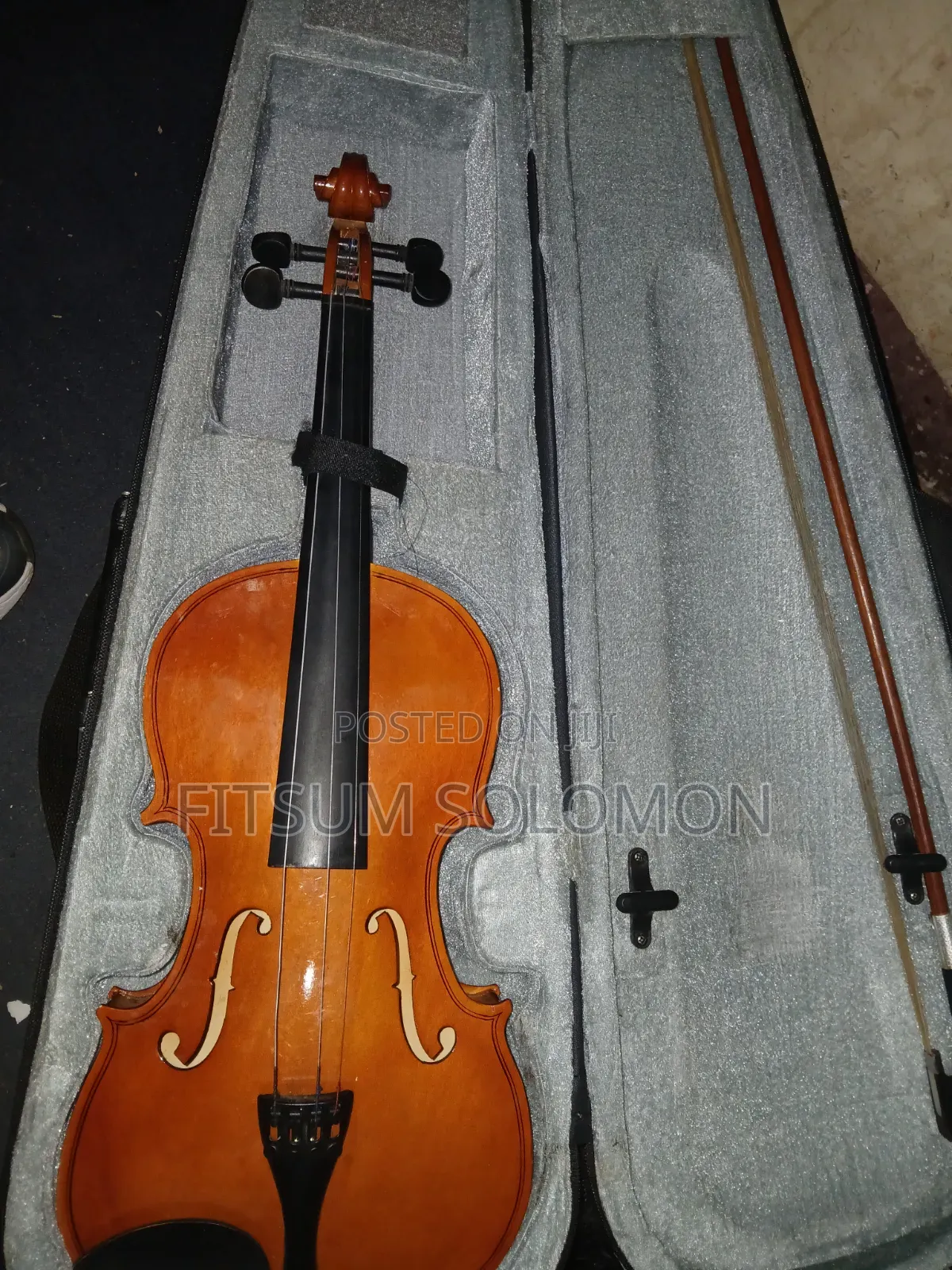 Professional Violin