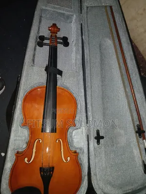 Professional Violin