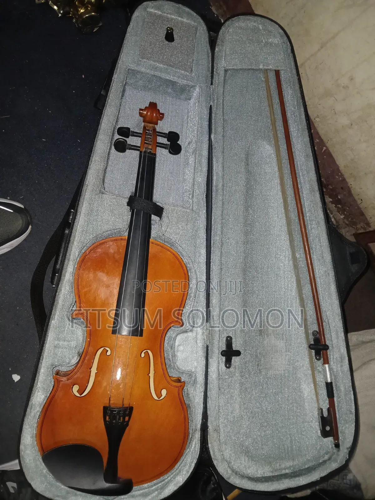 Professional Violin