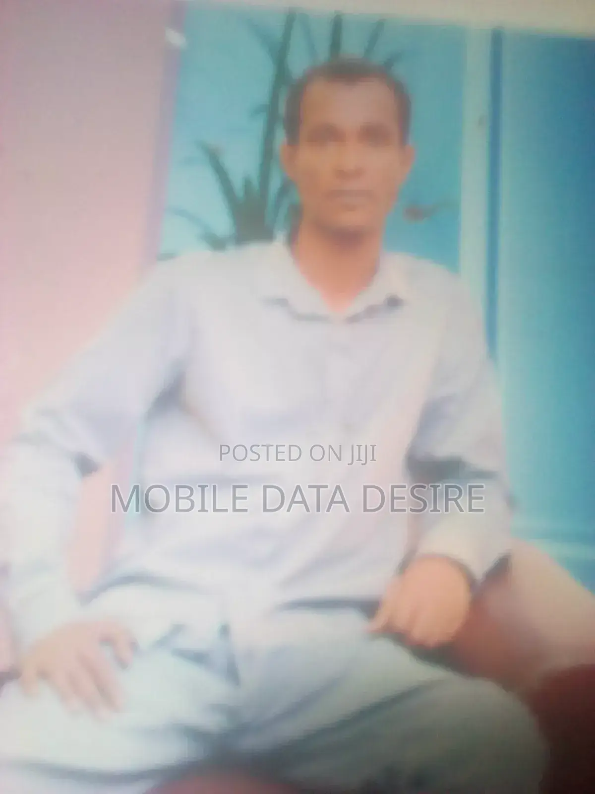 Mobile Web Designer