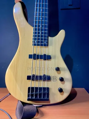Music Instrument
