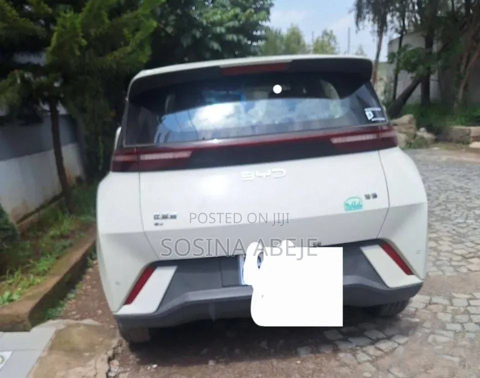 BYD Seagull 2024 White