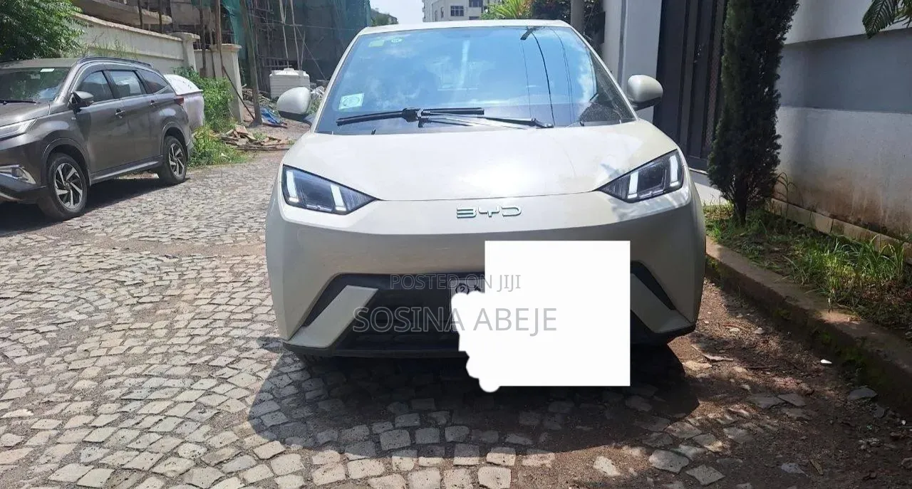 BYD Seagull 2024 White
