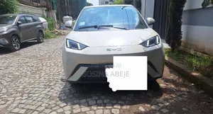 BYD Seagull 2024 White
