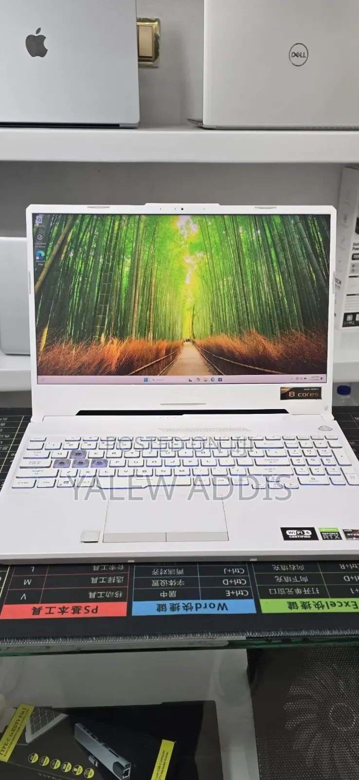 New Laptop Asus TUF Gaming A15 16GB AMD Ryzen 9 SSD 512GB