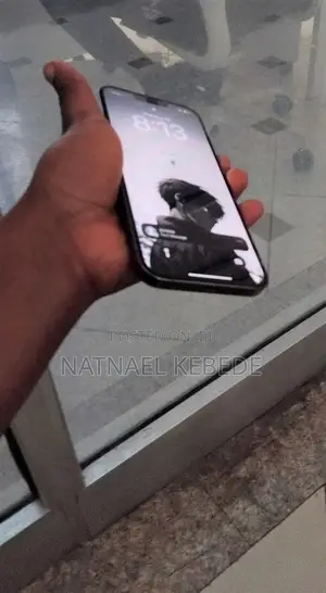 Apple iPhone 13 Pro Max 256 GB Gray
