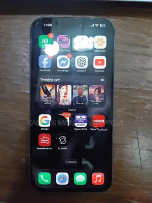 Apple iPhone 15 Pro Max 256 GB Silver