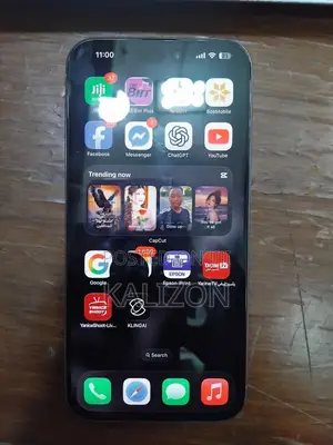 Apple iPhone 15 Pro Max 256 GB Silver