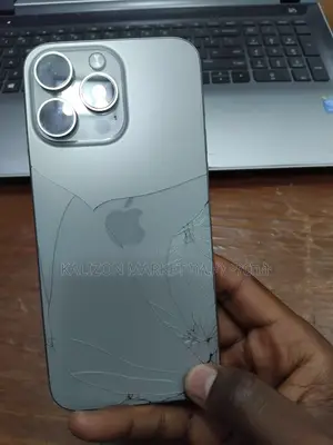 Apple iPhone 15 Pro Max 256 GB Silver