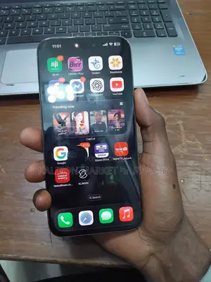 Apple iPhone 15 Pro Max 256 GB Silver