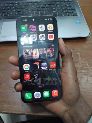 Apple iPhone 15 Pro Max 256 GB Silver