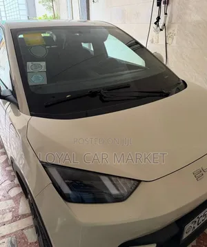 BYD Seagull 2024 Gray