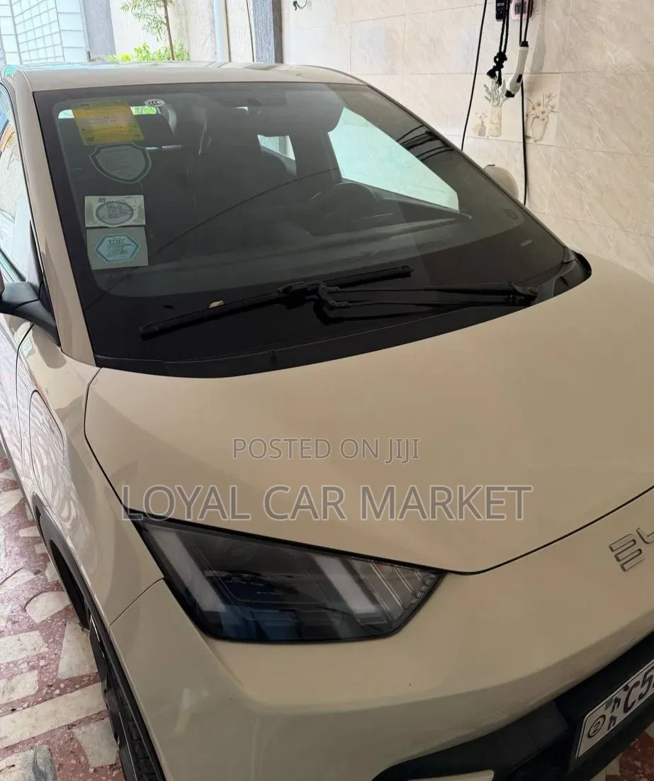 BYD Seagull 2024 Gray