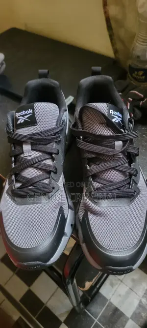 Reebok Zig