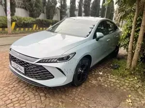BYD Qin Plus DM-i 2024