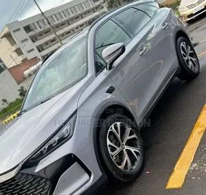 New BYD Tang DM-i 2025 Beige
