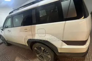 Hyundai Santa Fe 2024 White