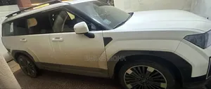 Hyundai Santa Fe 2024 White