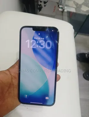 New Apple iPhone 13 Pro Max 256 GB