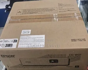 Epson Projector Co-W01