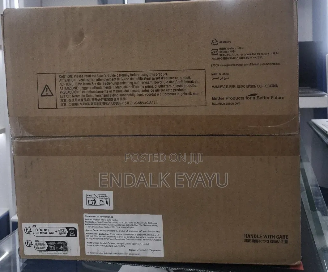 Epson Projector Co-W01