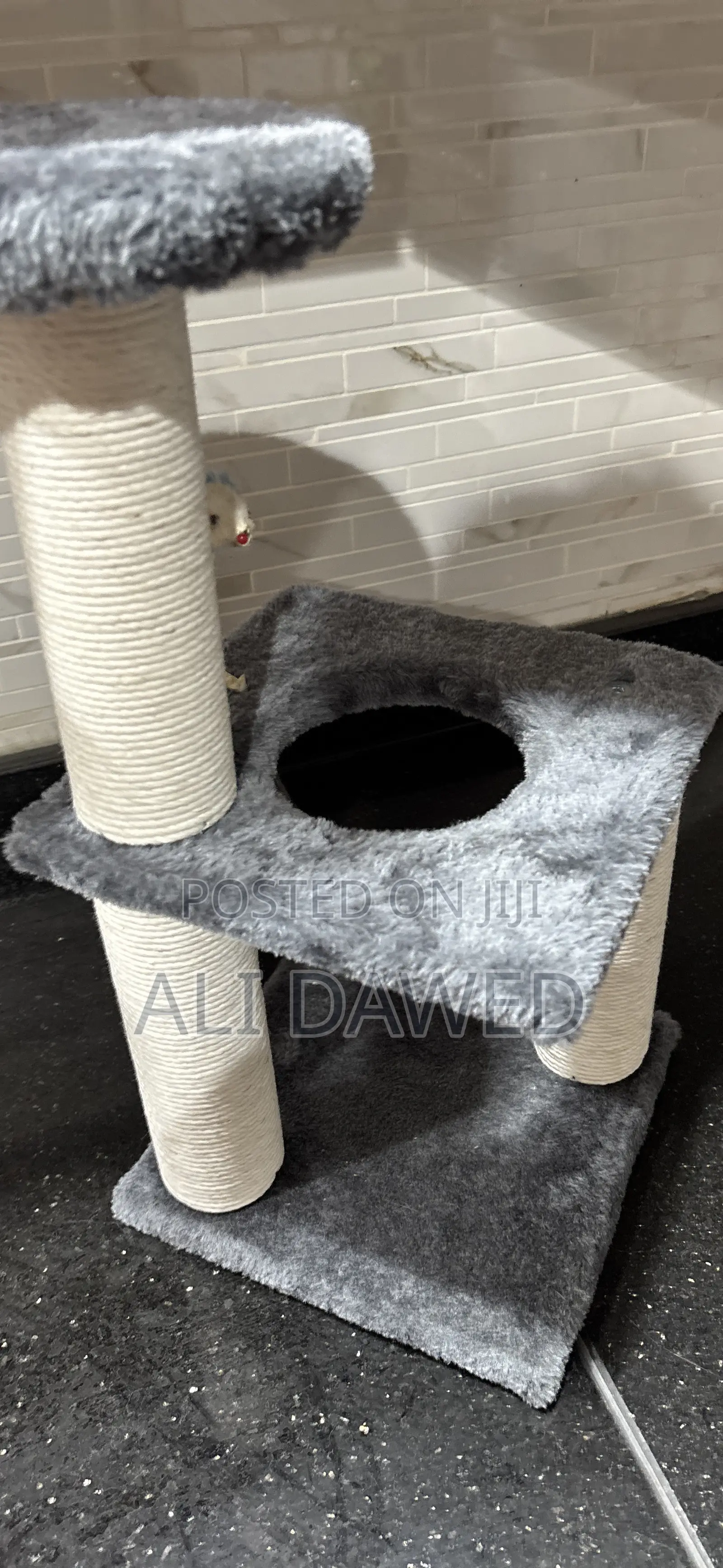 Used Cat Tree for Cats