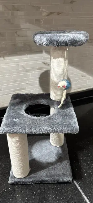 Used Cat Tree for Cats