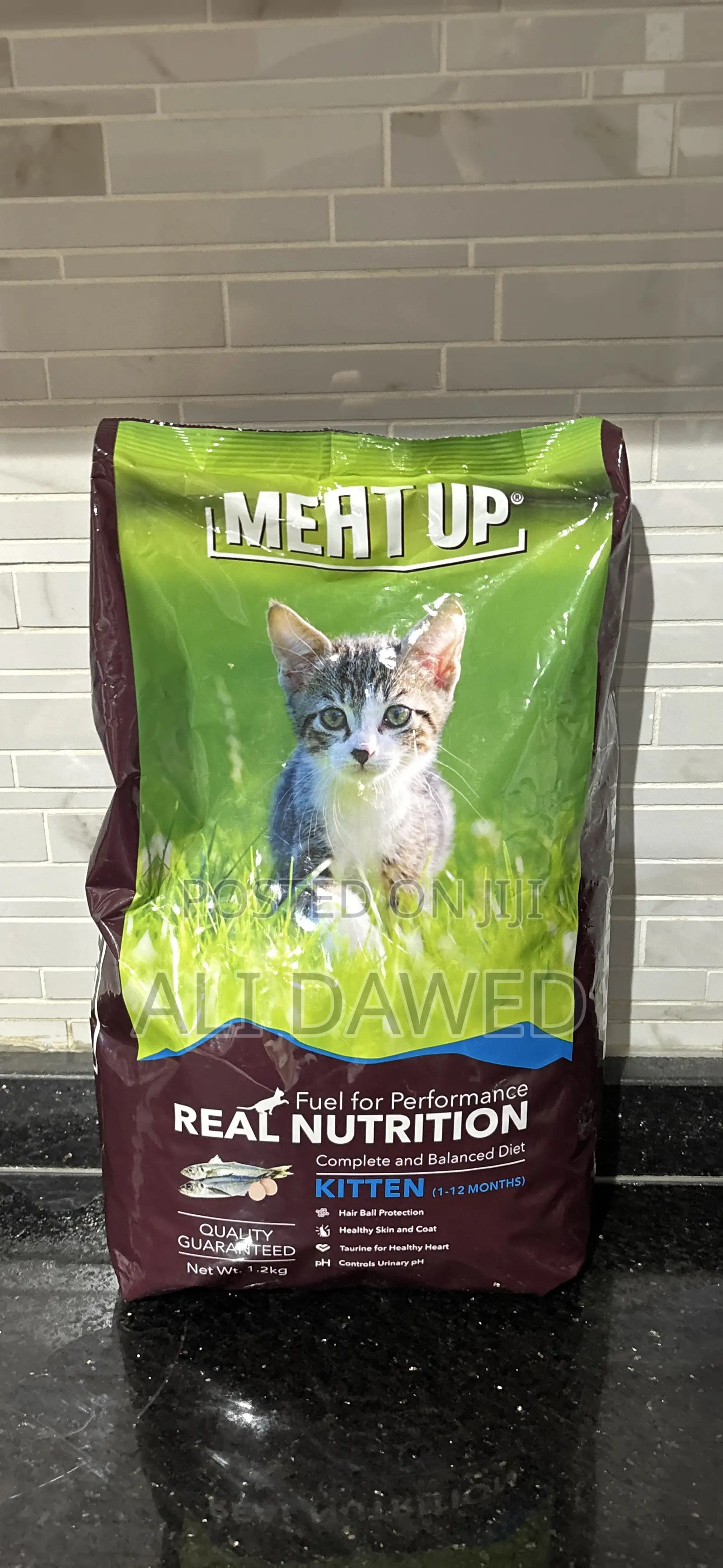 Cat Food for Kittens