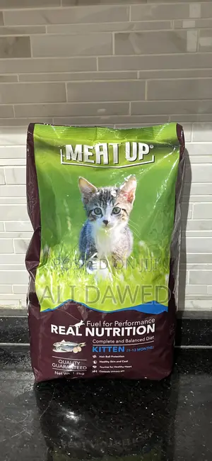 Cat Food for Kittens