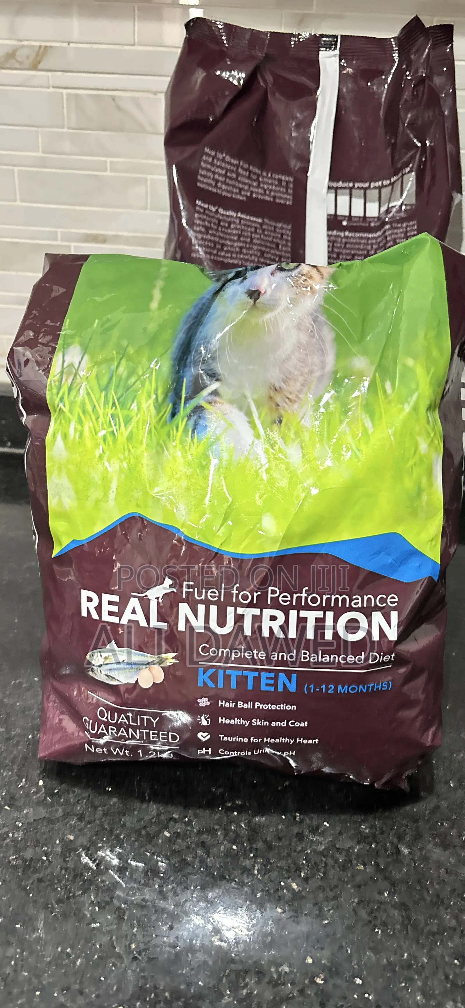 Kittens Food