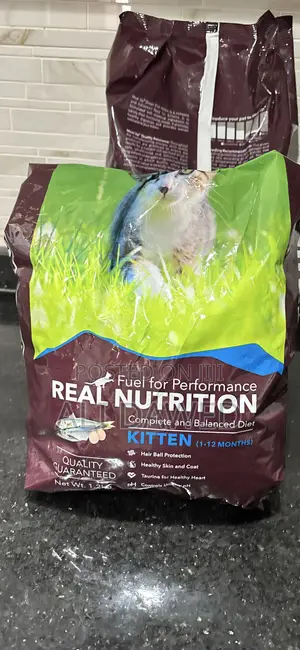 Kittens Food
