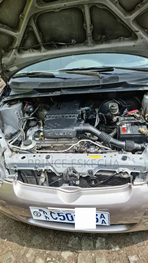 Toyota Vitz 2002 Brown
