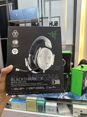 Razer Headset
