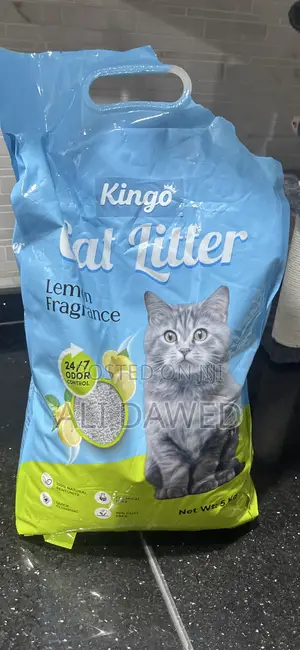 Cat Litter