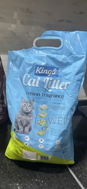 Cat Litter