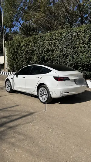 Tesla Model 3 2023 White