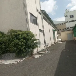 Warehouse for Rent, Clean Warehouse for Factory and Workshop