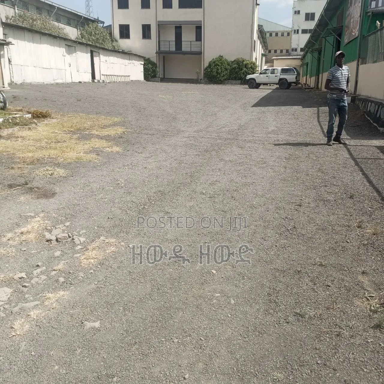 Warehouse for Rent, Clean Warehouse for Factory and Workshop