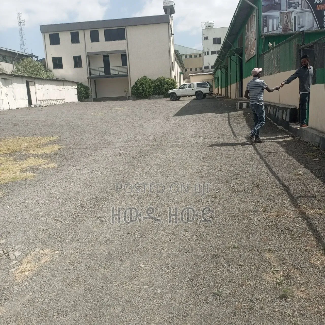Warehouse for Rent, Clean Warehouse for Factory and Workshop