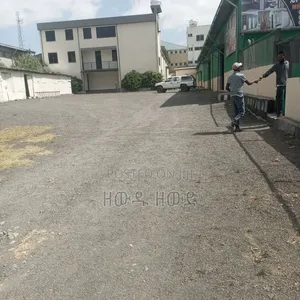 Warehouse for Rent, Clean Warehouse for Factory and Workshop