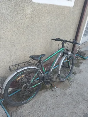 Phoenix Bicycle